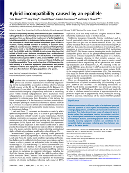 Hybrid Incompatibility Caused by an Epiallele