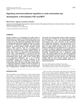 Role of FGF and MITF in Eye Development 3583