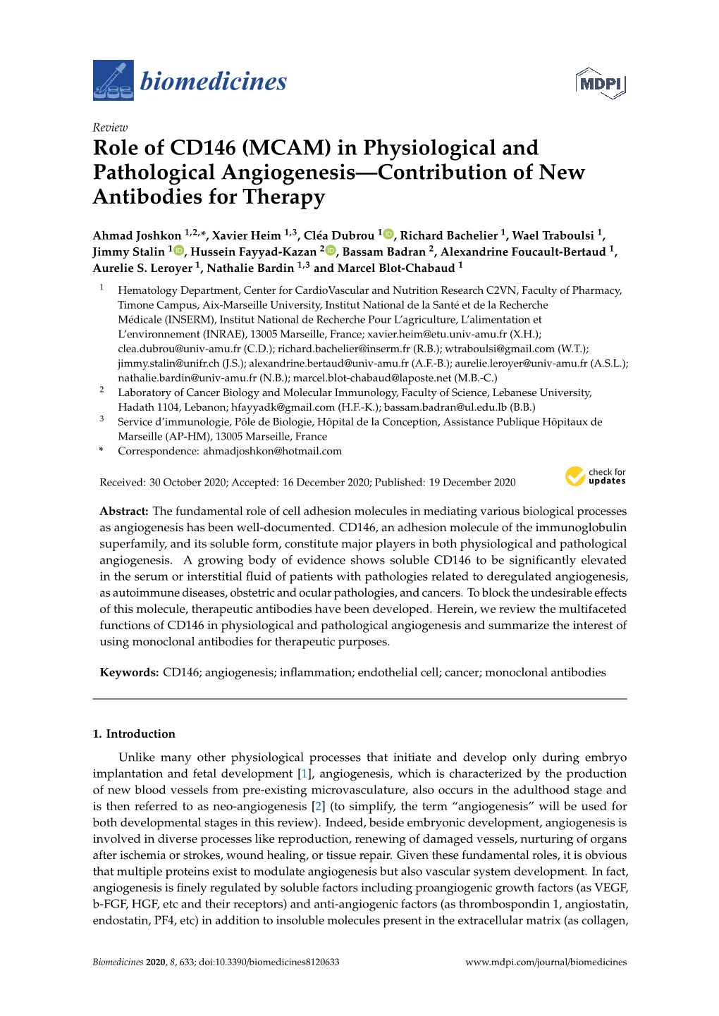 Role of CD146 (MCAM) in Physiological and Pathological Angiogenesis—Contribution of New Antibodies for Therapy