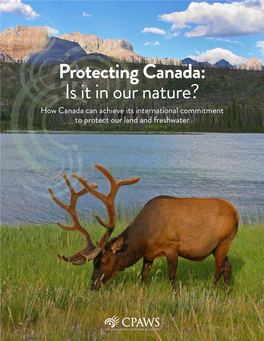 Protecting Canada: Is It in Our Nature? How Canada Can Achieve Its International Commitment to Protect Our Land and Freshwater
