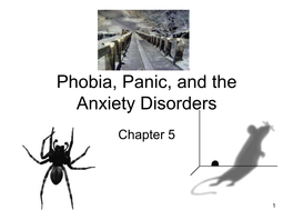 Phobia, Panic, and the Anxiety Disorders