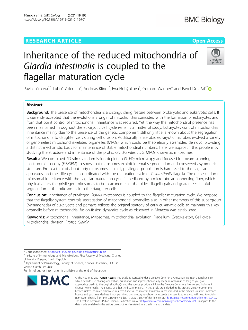 Inheritance of the Reduced Mitochondria of Giardia Intestinalis Is Coupled to the Flagellar Maturation Cycle