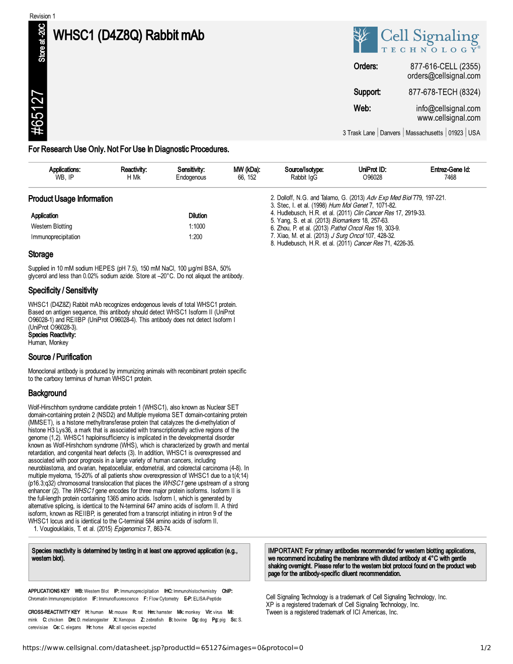 65127 WHSC1 (D4Z8Q) Rabbit Mab