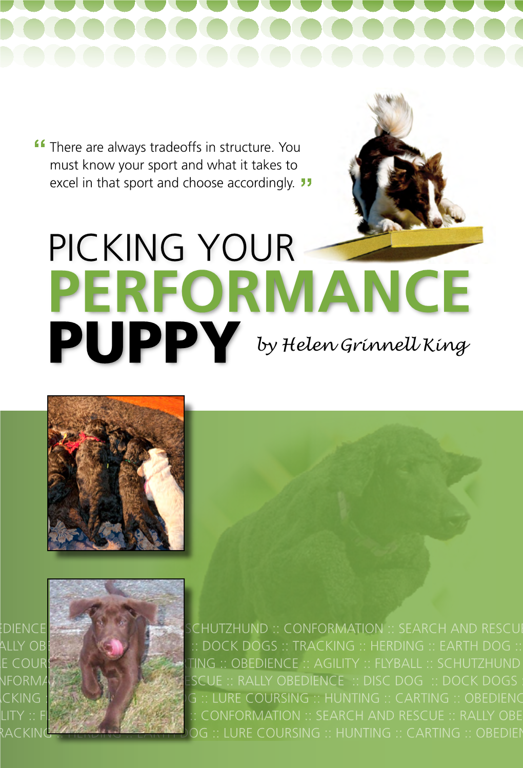 Performance Puppy by Helen Grinnell King