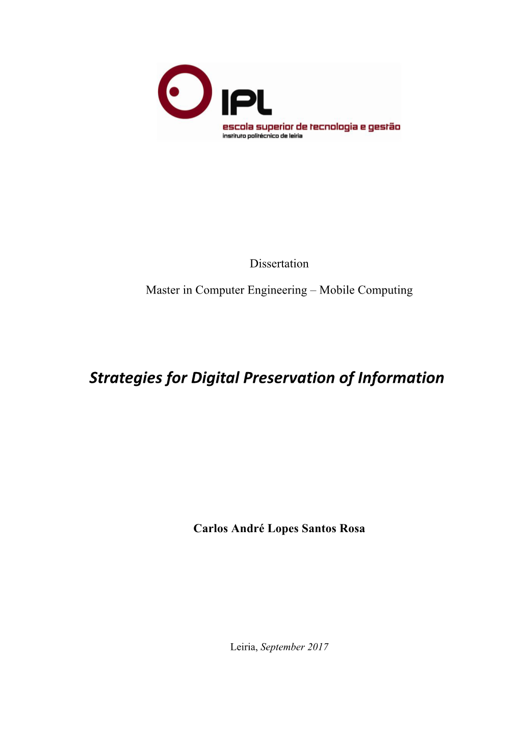 Strategies for Digital Preservation of Information