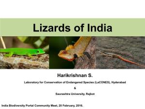 Lizards of India