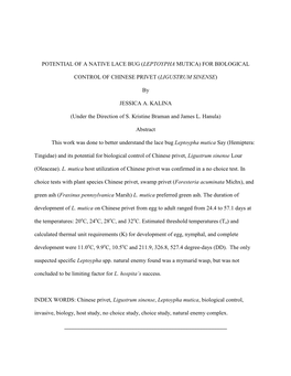 POTENTIAL of a NATIVE LACE BUG (LEPTOYPHA MUTICA) for BIOLOGICAL CONTROL of CHINESE PRIVET (LIGUSTRUM SINENSE) by JESSICA A