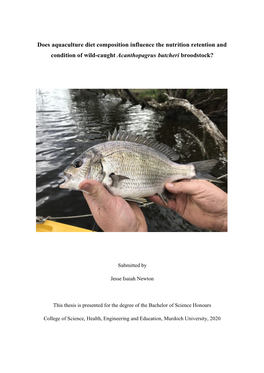 Performance of Acanthopagrus Butcheri Broodstock Conditioned In