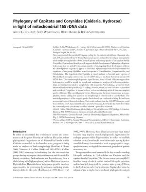 Cnidaria, Hydrozoa) in Light of Mitochondria! 16S Rdna Data