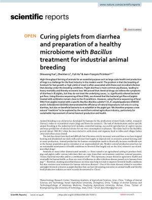 Curing Piglets from Diarrhea and Preparation of a Healthy
