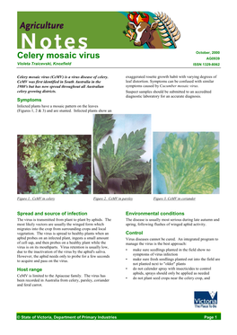 Celery Mosaic Virus (DPI Vic)