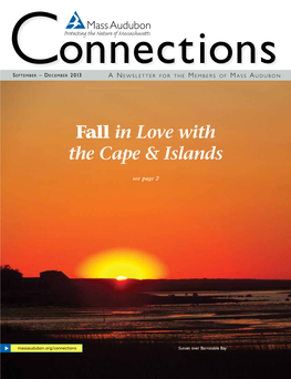 Fall in Love with the Cape & Islands