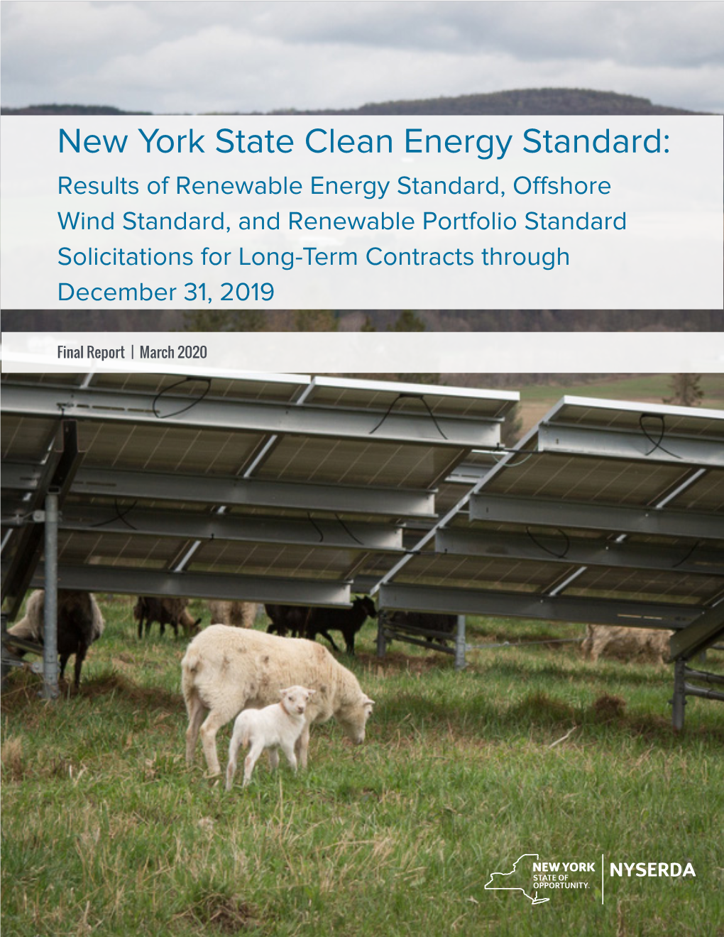 New York State Clean Energy Standard