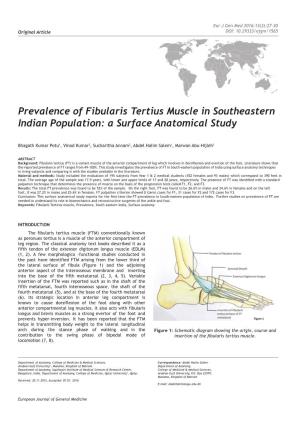 Prevalence of Fibularis Tertius Muscle in Southeastern Indian Population: a Surface Anatomical Study