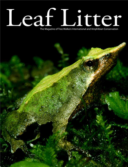 The Magazine of Tree Walkers International and Amphibian Conservation from the Director