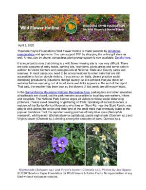 © 2020 Theodore Payne Foundation for Wild Flowers & Native Plants. No Reproduction of Any Kind Without Written Permission