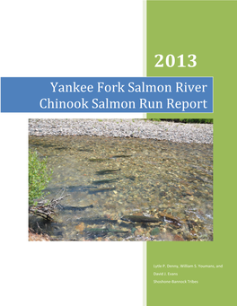 2013 Yankee Fork Salmon River Chinook Salmon Run Report