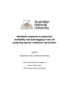 Metabolic Responses to Potassium Availability and Waterlogging in Two Oil- Producing Species: Sunflower and Oil Palm