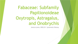 Fabaceae: Subfamily Papilionoideae Oxytropis, Astragalus, and Onobrychis Jessica Lewis, BIOL331: Systematic Botany Fabaceae – Papilionoideae Subfamily