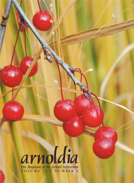 The Magazine of the Arnold Arboretum VOLUME 73 • NUMBER 2