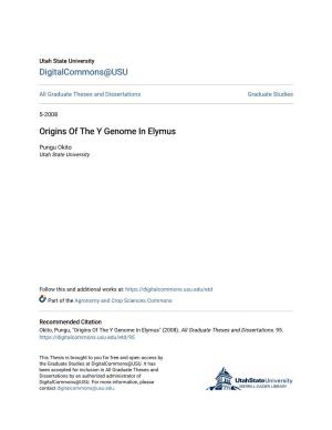 Origins of the Y Genome in Elymus
