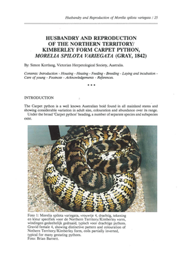 Husbandry and Reproduction of the Northern Territory/ Kimberley Form Carpet Python, Morel/A Spilota Variegata (Gray, 1842)