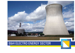 B&H Electro Energy Sector