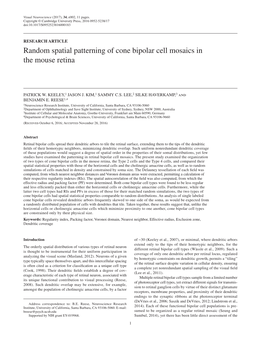 Random Spatial Patterning of Cone Bipolar Cell Mosaics in the Mouse Retina