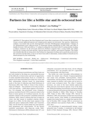 Partners for Life: a Brittle Star and Its Octocoral Host