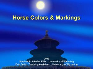 Horsecolorsmarkings