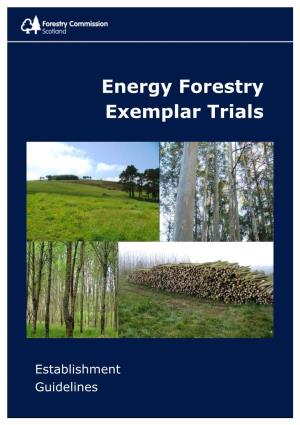 Energy Forestry Exemplar Trials Establishment