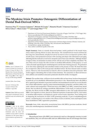 The Myokine Irisin Promotes Osteogenic Differentiation of Dental Bud-Derived Mscs