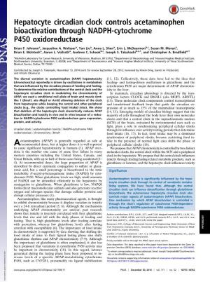 Hepatocyte Circadian Clock Controls Acetaminophen Bioactivation Through NADPH-Cytochrome P450 Oxidoreductase