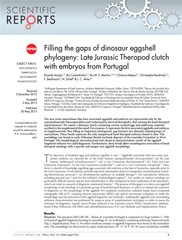 Filling the Gaps of Dinosaur Eggshell Phylogeny: Late Jurassic Theropod Clutch with Embryos from Portugal