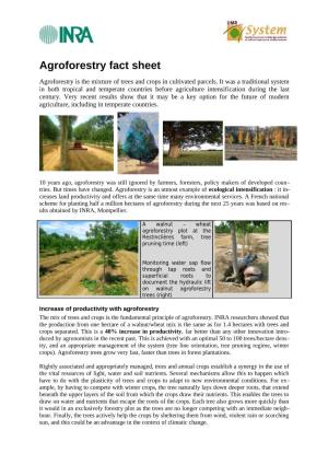 Agroforestry : Fact-Sheet