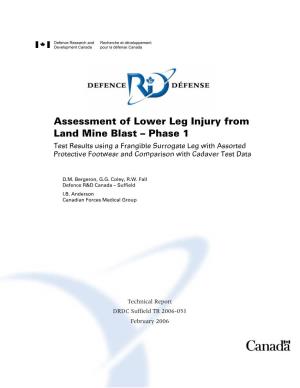 Assessment of Lower Leg Injury from Land Mine Blast – Phase 1