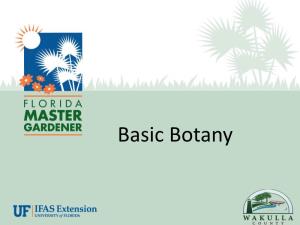 Basic Botany Presentation
