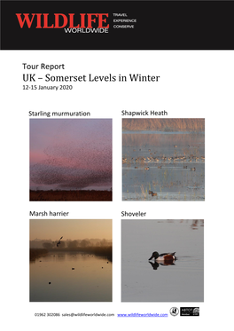 January 2020 Tour Report Somerset Levels in Winter with Mike Dilger