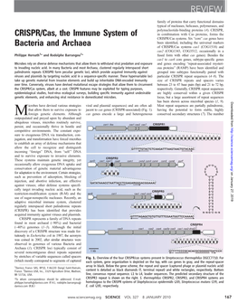 CRISPR/Cas, the Immune System of Bacteria and Archaea REVIEW