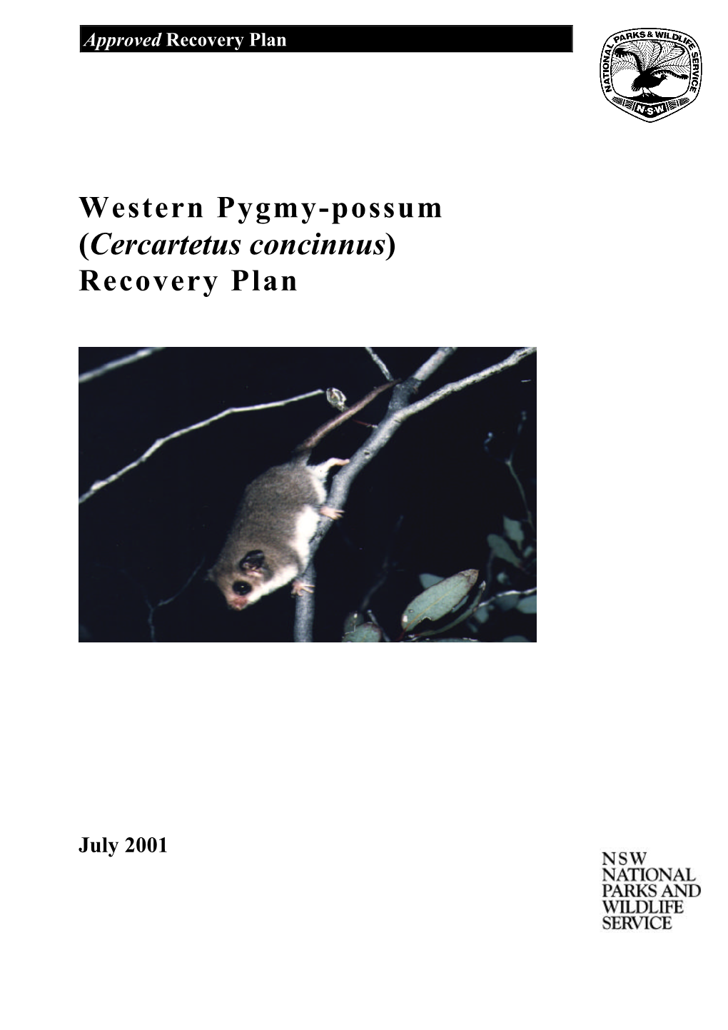 Western Pygmy Possum