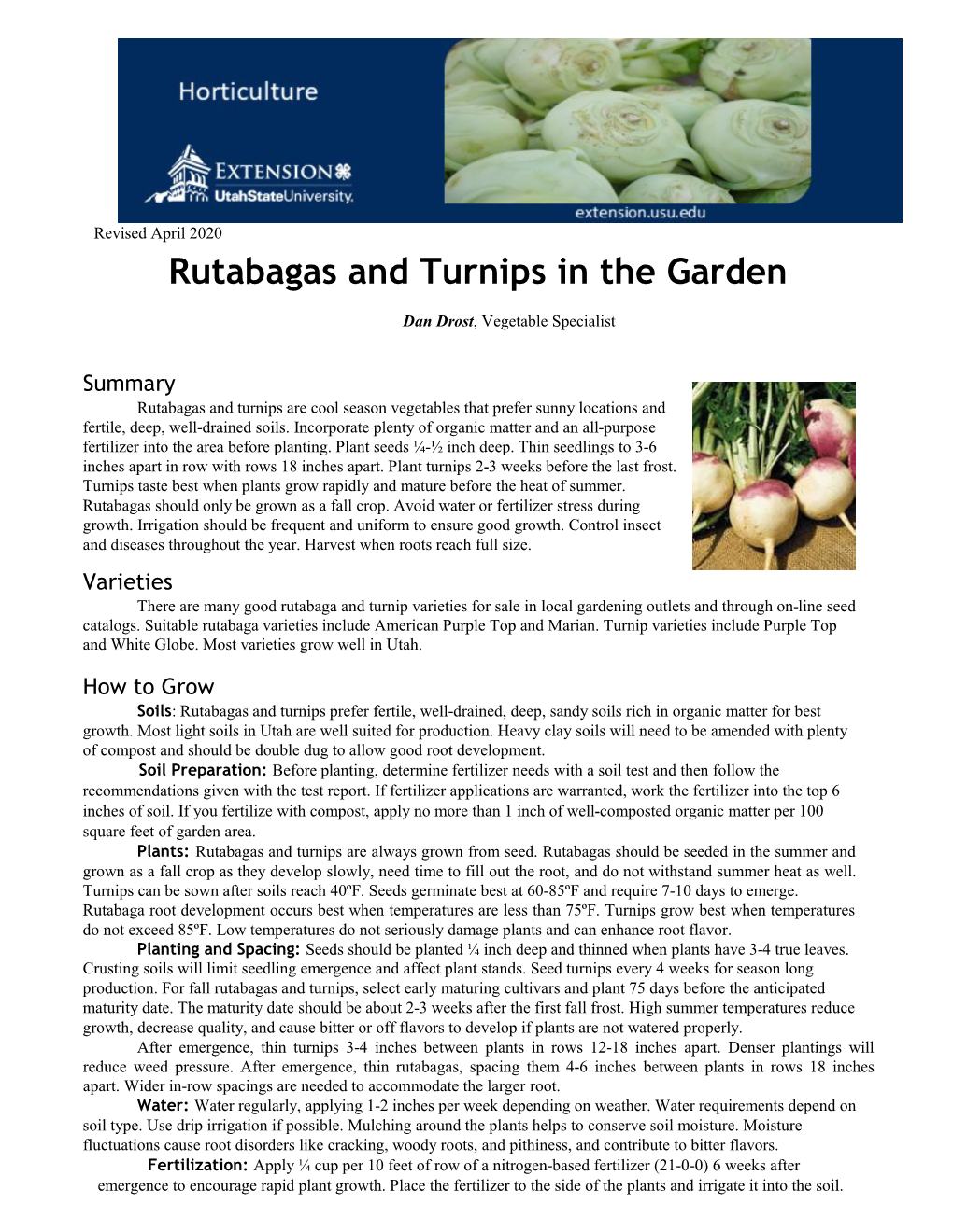 Rutabagas and Turnips in the Garden