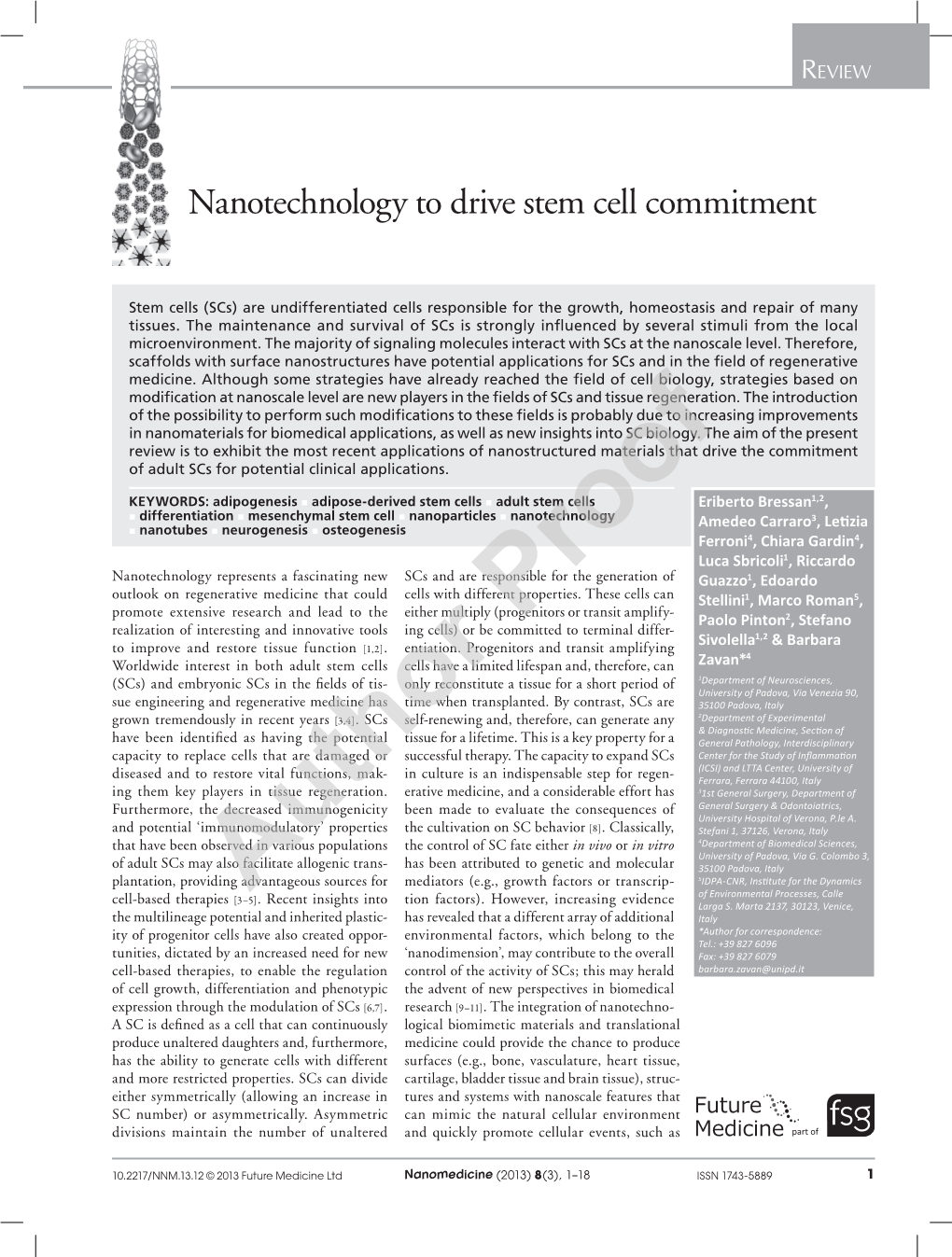 Nanotechnology to Drive Stem Cell Commitment