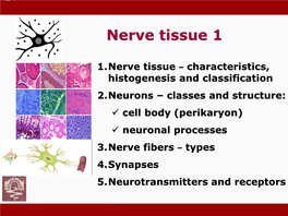 Nerve Tissue 1