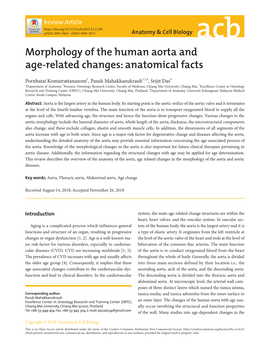 Morphology of the Human Aorta and Age-Related Changes: Anatomical Facts