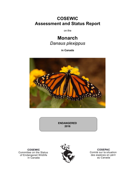 Monarch, Danaus Plexippus, in Canada, Prepared Under Contract with Environment Canada