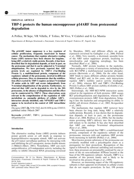 TBP-1 Protects the Human Oncosuppressor P14arf from Proteasomal Degradation