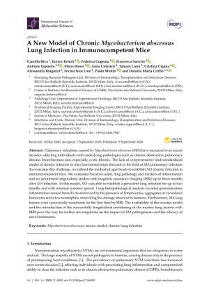 A New Model of Chronic Mycobacterium Abscessus Lung Infection in Immunocompetent Mice