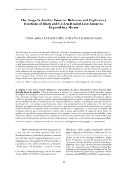 Defensive and Exploratory Reactions of Black and Golden-Headed Lion Tamarins Exposed to a Mirror