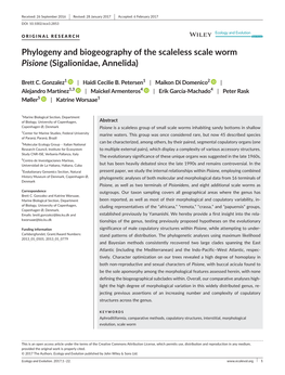 Phylogeny and Biogeography of the Scaleless Scale Worm Pisione (Sigalionidae, Annelida)