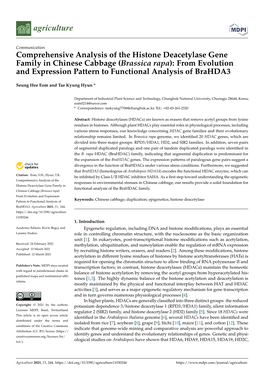 Comprehensive Analysis of the Histone Deacetylase Gene Family in Chinese Cabbage (Brassica Rapa): from Evolution and Expression